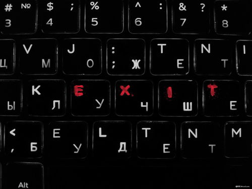 鍵盤 連接人與計(jì)算機(jī)的硬件橋梁